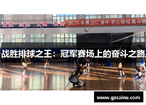 战胜排球之王：冠军赛场上的奋斗之路