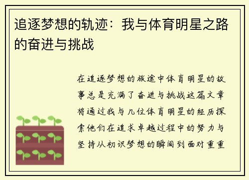 追逐梦想的轨迹：我与体育明星之路的奋进与挑战